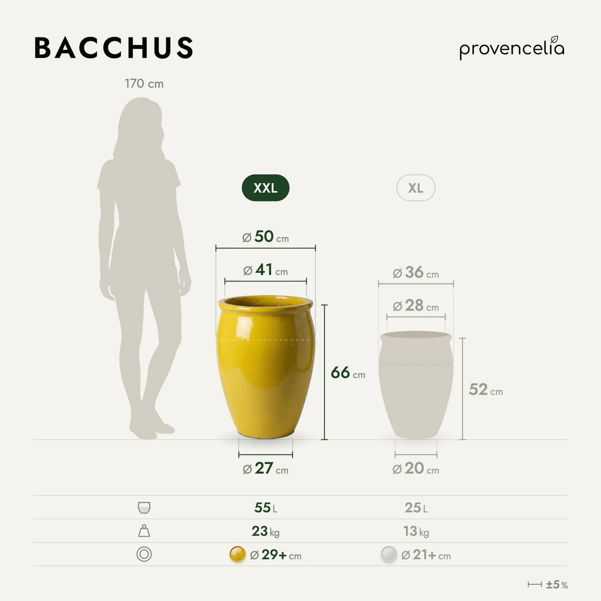 BACCHUS XXL – dimensioni
