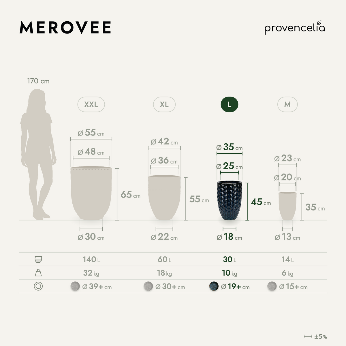 MEROVEE L – afmetingen