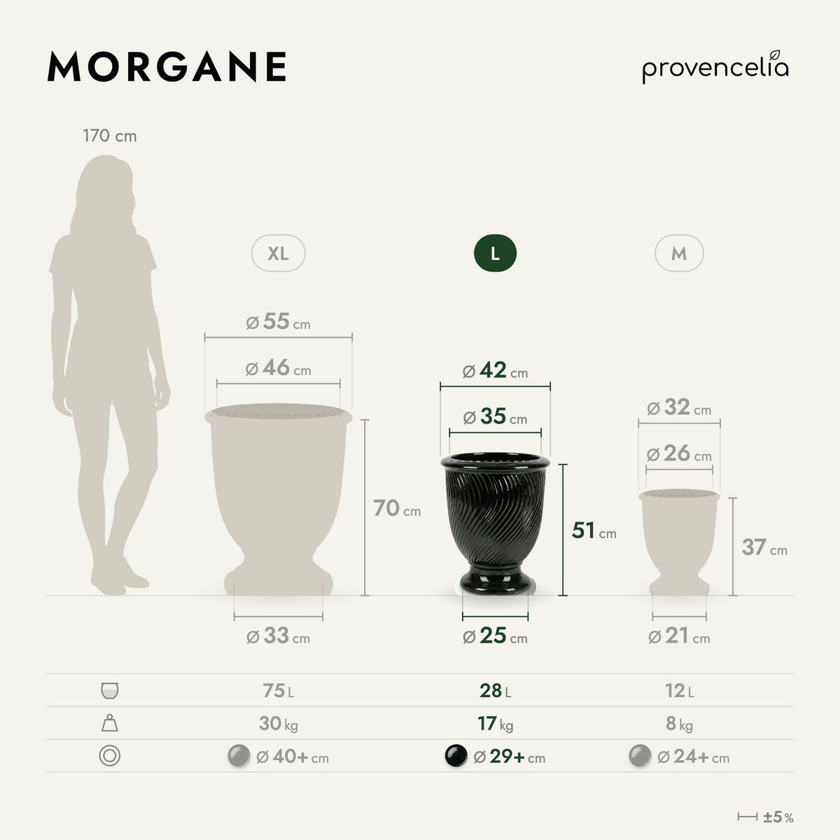 MORGANE L – dimensiones