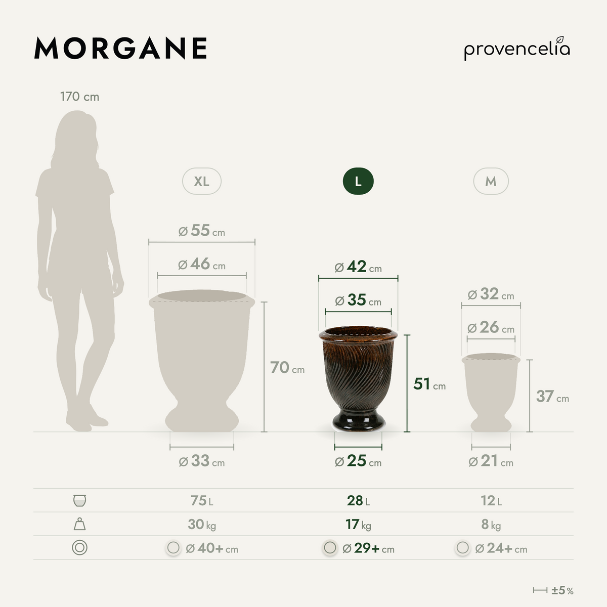 MORGANE L – dimensions