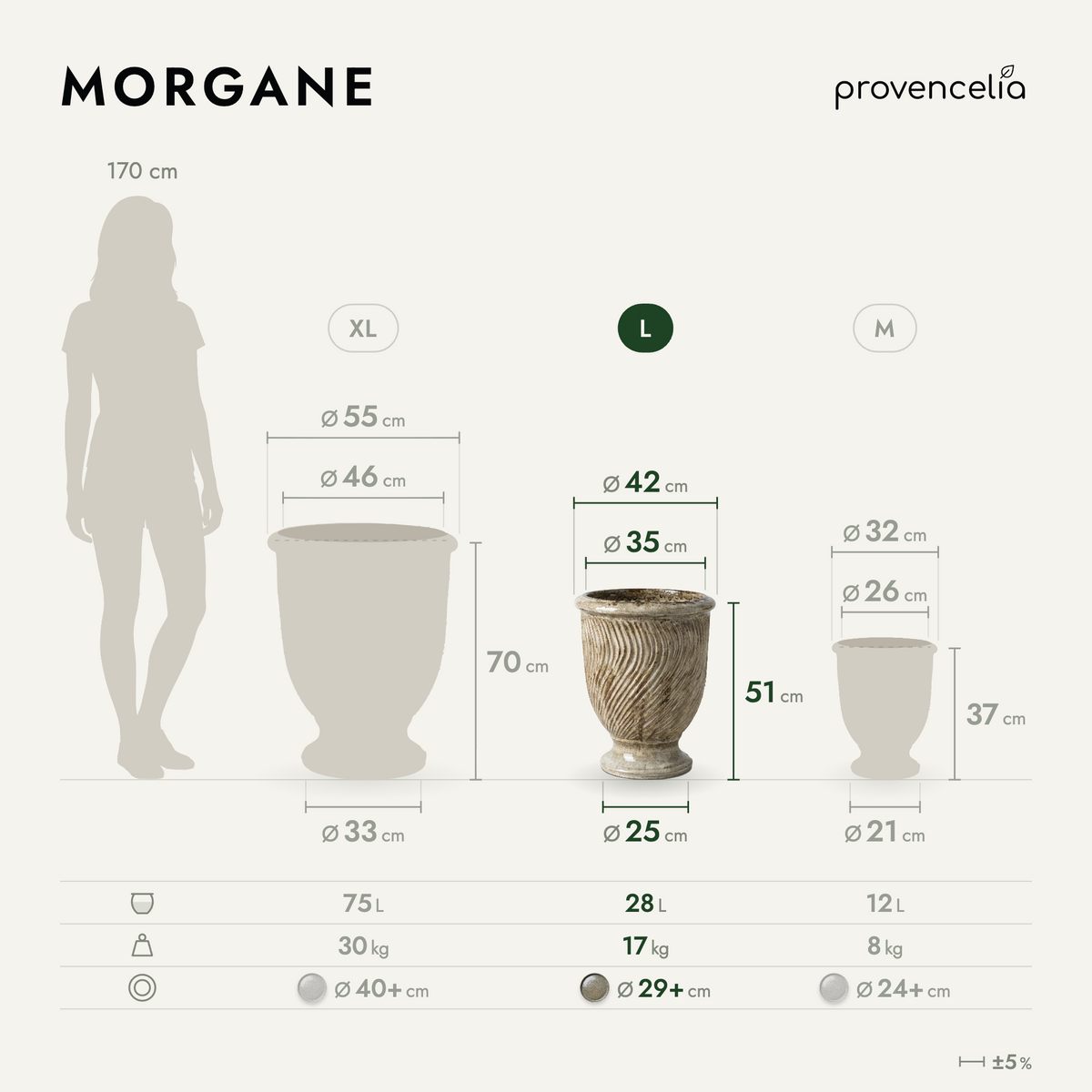 MORGANE L – dimensioni