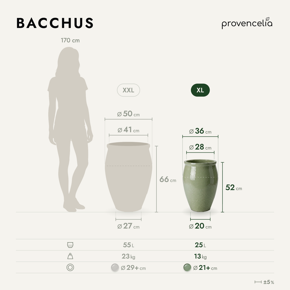 BACCHUS XL – dimensioni