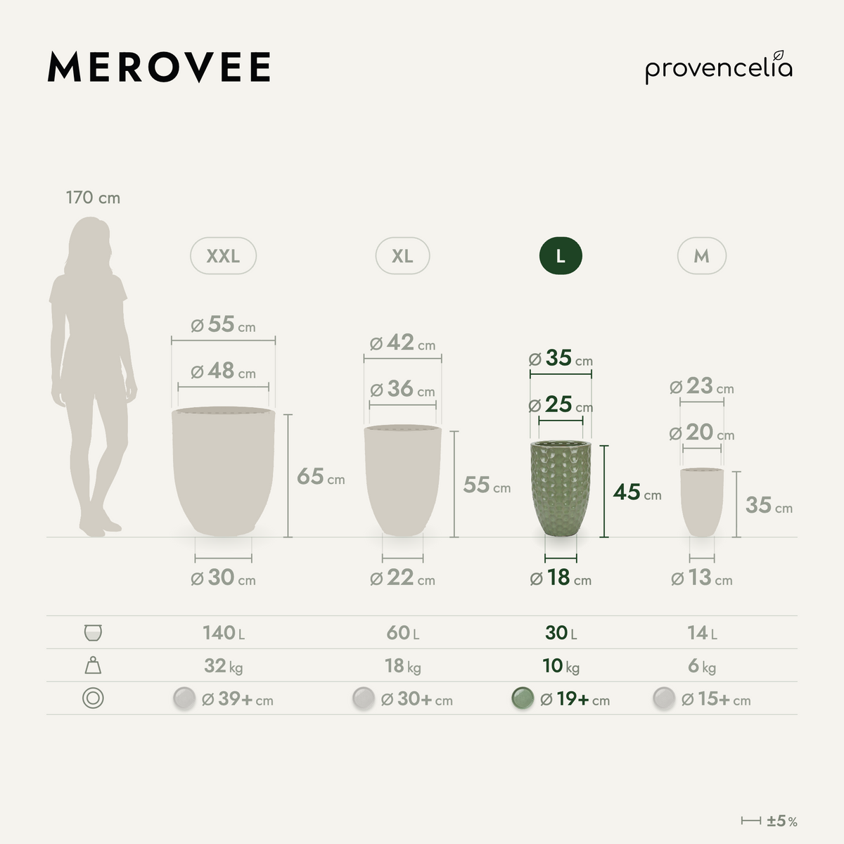MEROVEE L – dimensioni