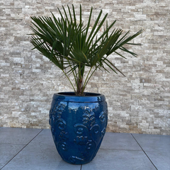 GAIA 53x57cm bleu azur