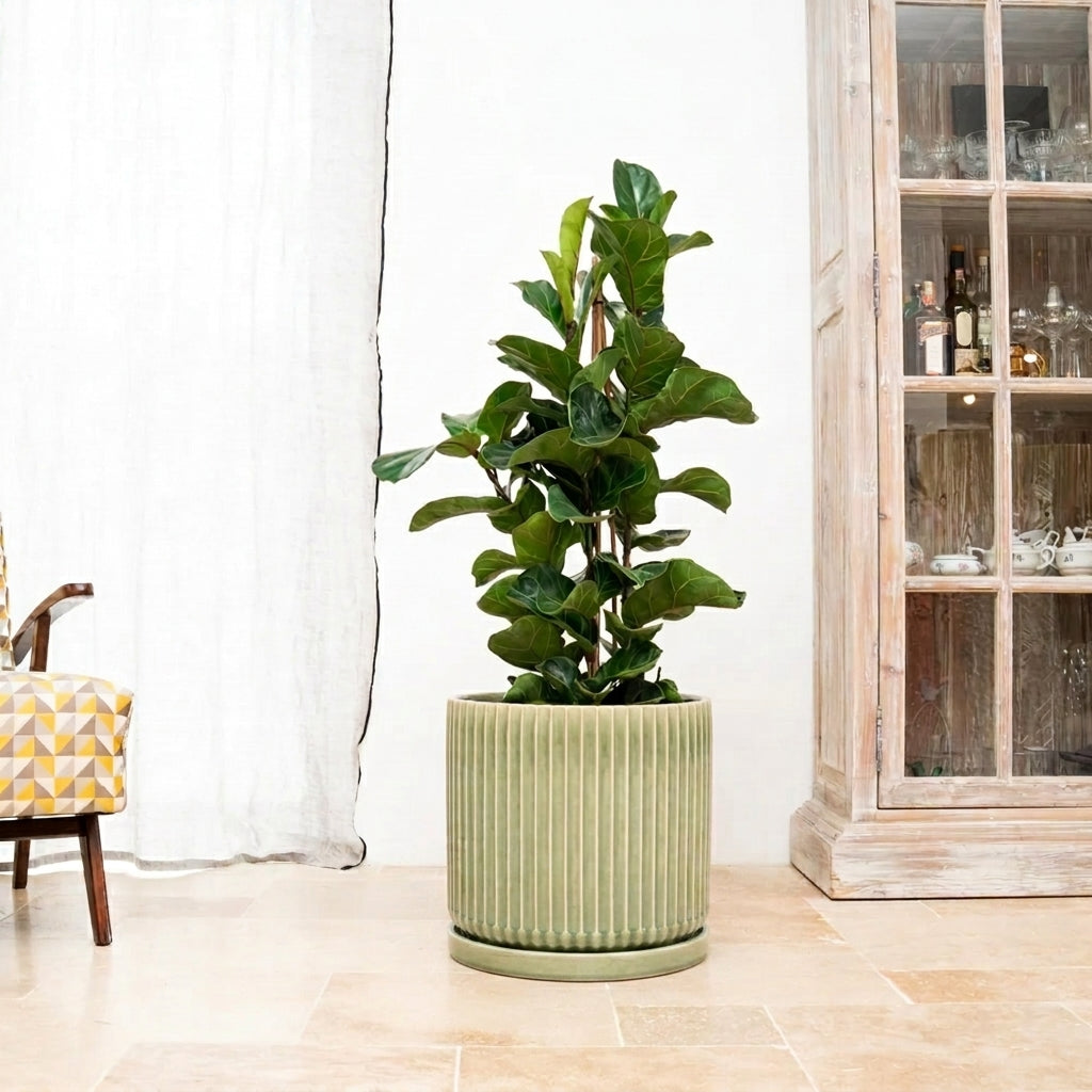 Sottovaso in ceramica verde per vaso – resistente al gelo