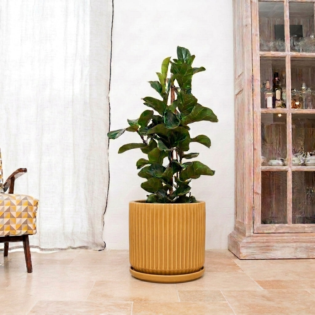 Sottovaso in ceramica giallo per vaso – resistente al gelo