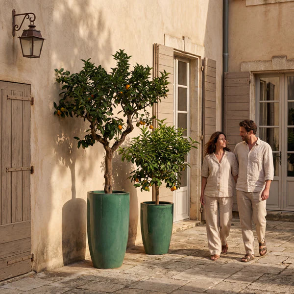 Jade mist Eiffel glazed ceramic planter, orange trees in front of a house