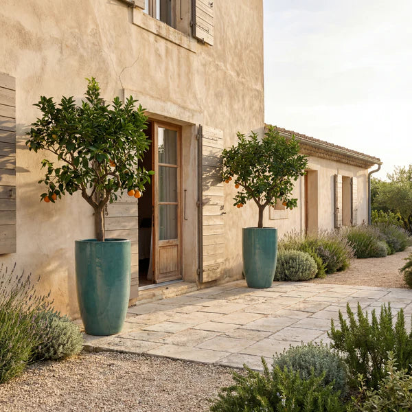Jade mist Eiffel glazed ceramic planter, orange trees on a terrace in front of the façade