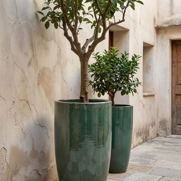 Pot Eiffel brume de jade en terre cuite émaillée, deux pots avec arbres en cour