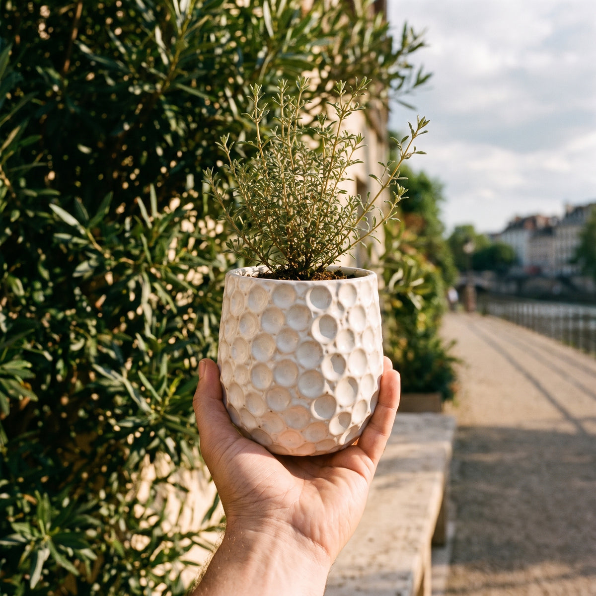 Ronde plantenbak PARISETTE 12x10 cm Wit van geglazuurd keramiek, met aromatische plant in de tuin