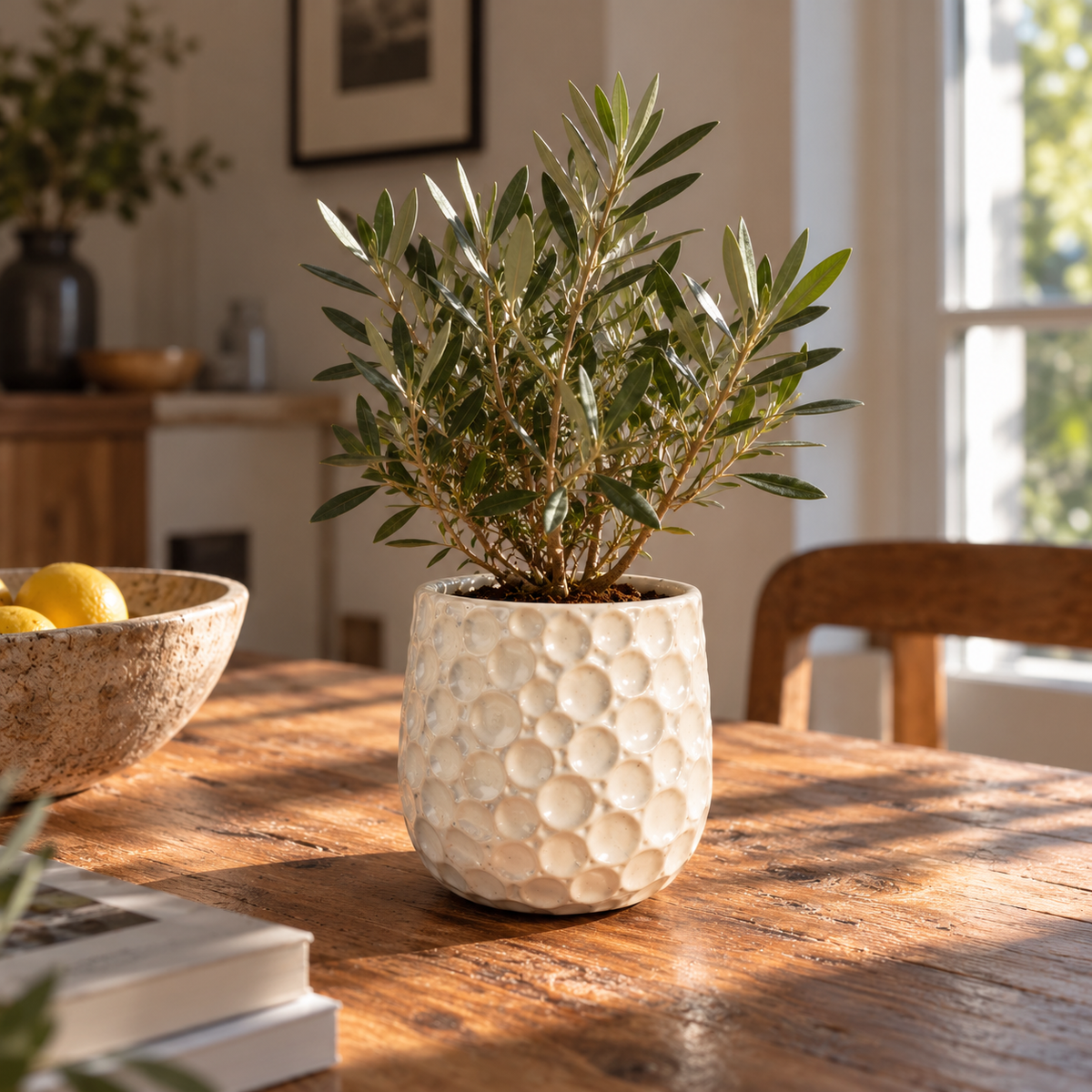 Ronde plantenbak PARISETTE 12x10 cm Wit van geglazuurd keramiek, olijfboom op een tafel binnenshuis