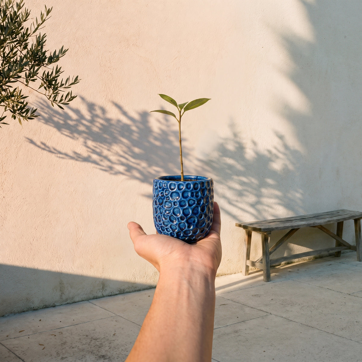 Ronde plantenbak PARISETTE 12x10 cm Blauw van geglazuurd keramiek, met een jonge scheut in de hand gehouden