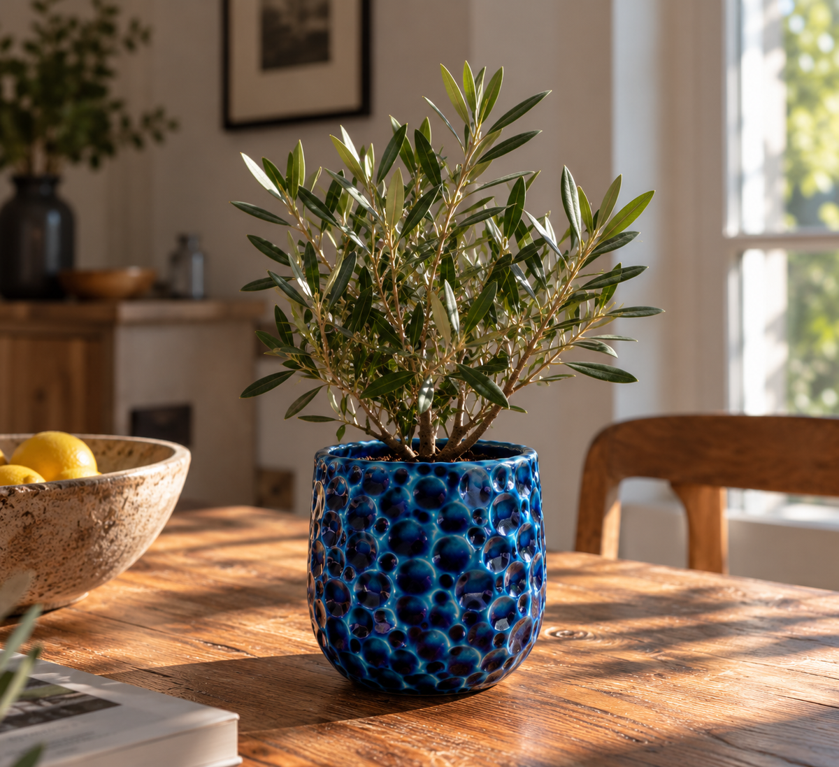 Ronde plantenbak PARISETTE 12x10 cm Blauw van geglazuurd keramiek, met olijfboom op een tafel binnenshuis