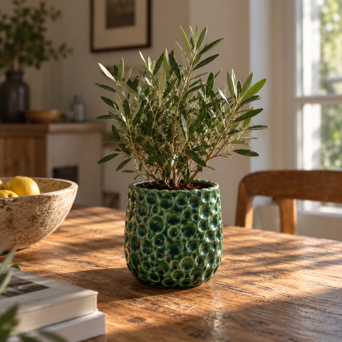 Ronde plantenbak PARISETTE 12x10 cm Bosgroen van geglazuurd keramiek, beplant met een olijfboom op een tafel binnenshuis