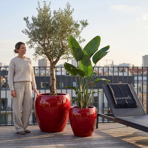 Vaso Lafontaine2 a forma di anfora Rosso in ceramica smaltata, con ulivo e pianta verde in terrazza