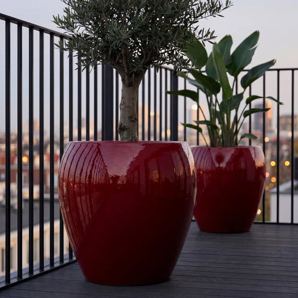 Vaso Lafontaine2 a forma di anfora Rosso in ceramica smaltata, con ulivo in primo piano