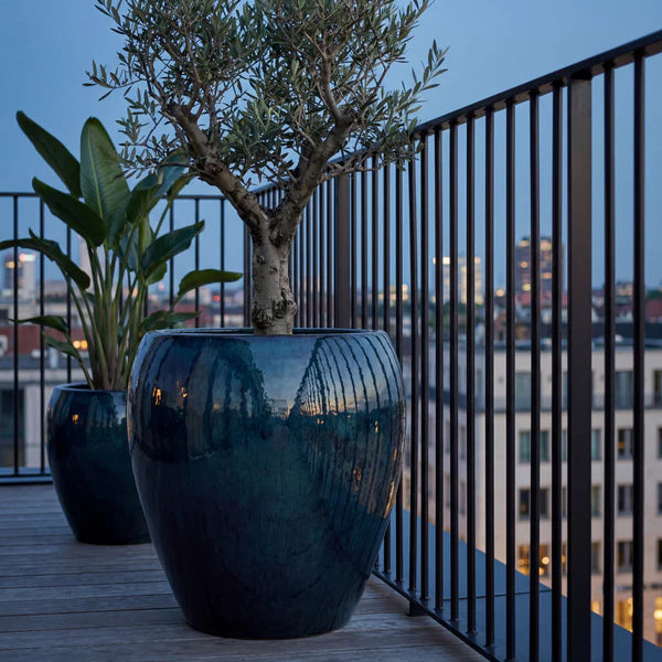 Lafontaine2 amphora-shaped Sapphire glazed ceramic planter, with olive tree on a terrace at dusk