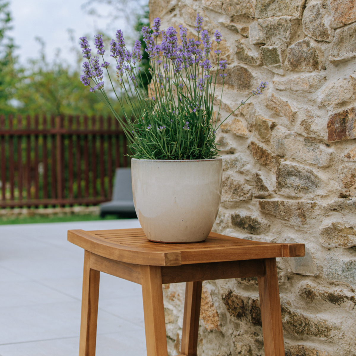 Pot Lancelot décoratif 21x19 cm crème en terre cuite émaillée, avec lavande sur une table