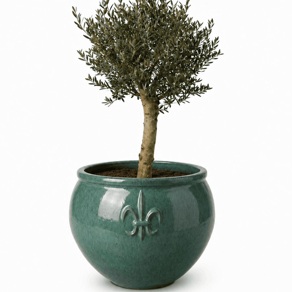 Lot olivier + pot CLOVIS 86x64cm jade, fait main en terre cuite émaillée Provencelia