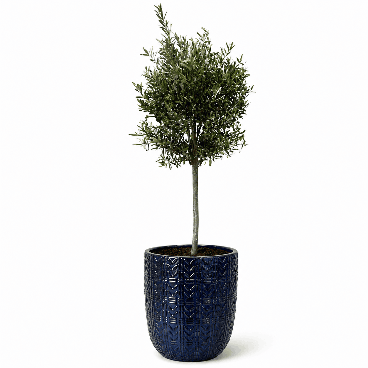 Lot olivier + pot MERCURE 51x64cm saphir, fait main en terre cuite émaillée Provencelia