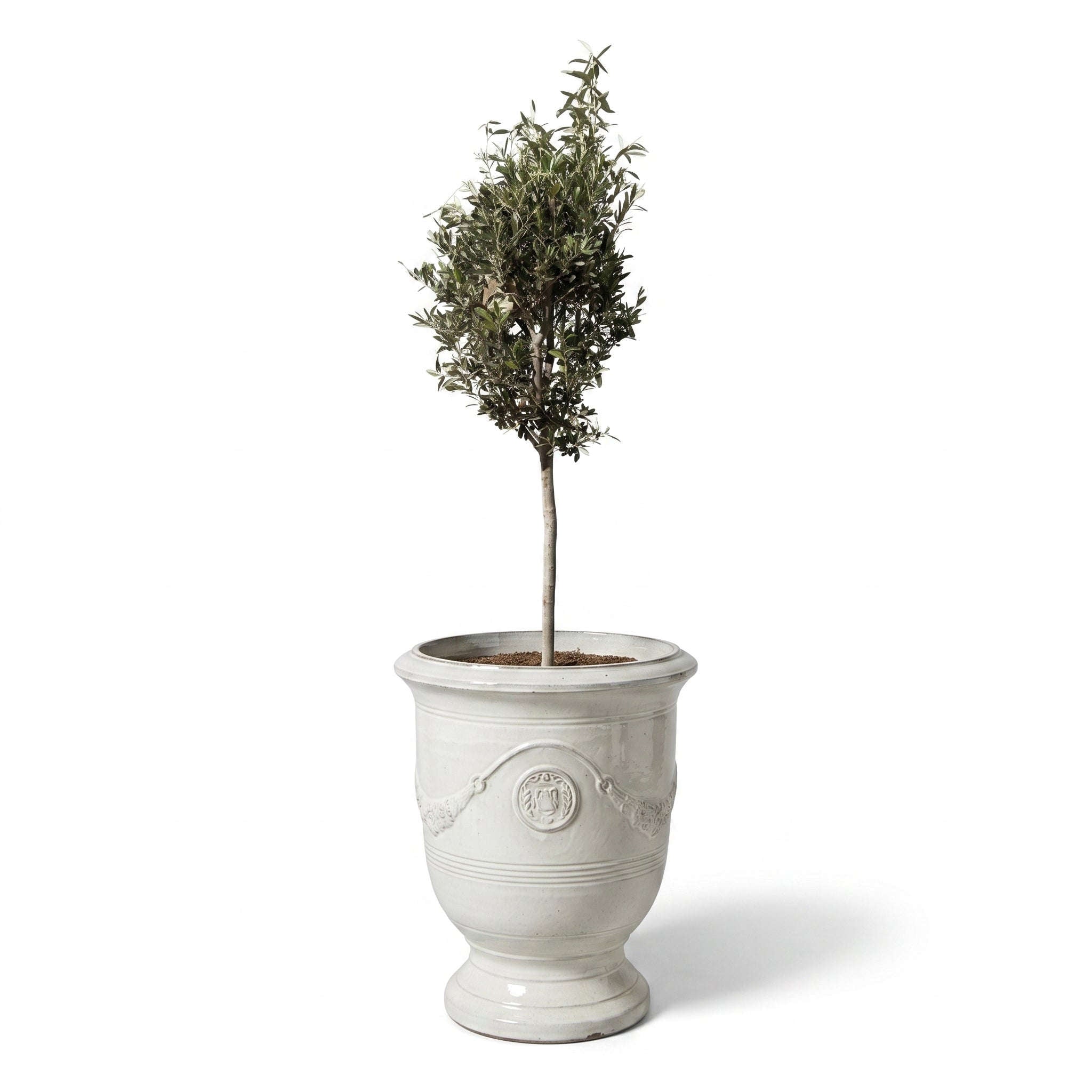 Lot olivier + pot RICHELIEU 46x56cm perle, fait main en terre cuite émaillée Provencelia