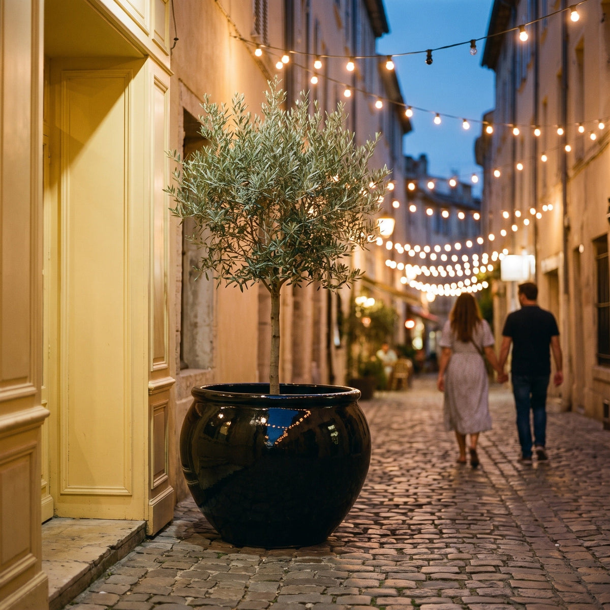 Pot LUTECE rond 86x64 cm noir en terre cuite émaillée, avec olivier dans une rue pavée