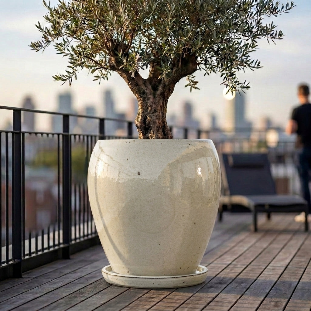 Ivory ceramic planter saucer – frost-resistant