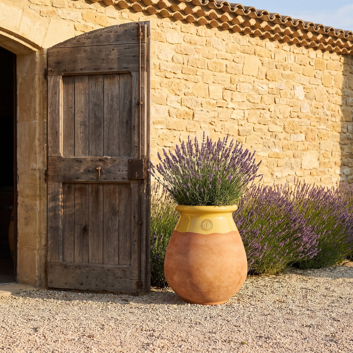 Made in Provence planter 44x85 cm Terracotta + Honey in glazed ceramic, lavender near a wooden door