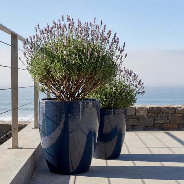 Saffieren Mazarin2-plantenbak van geglazuurd keramiek, met lavendel op een terras aan zee