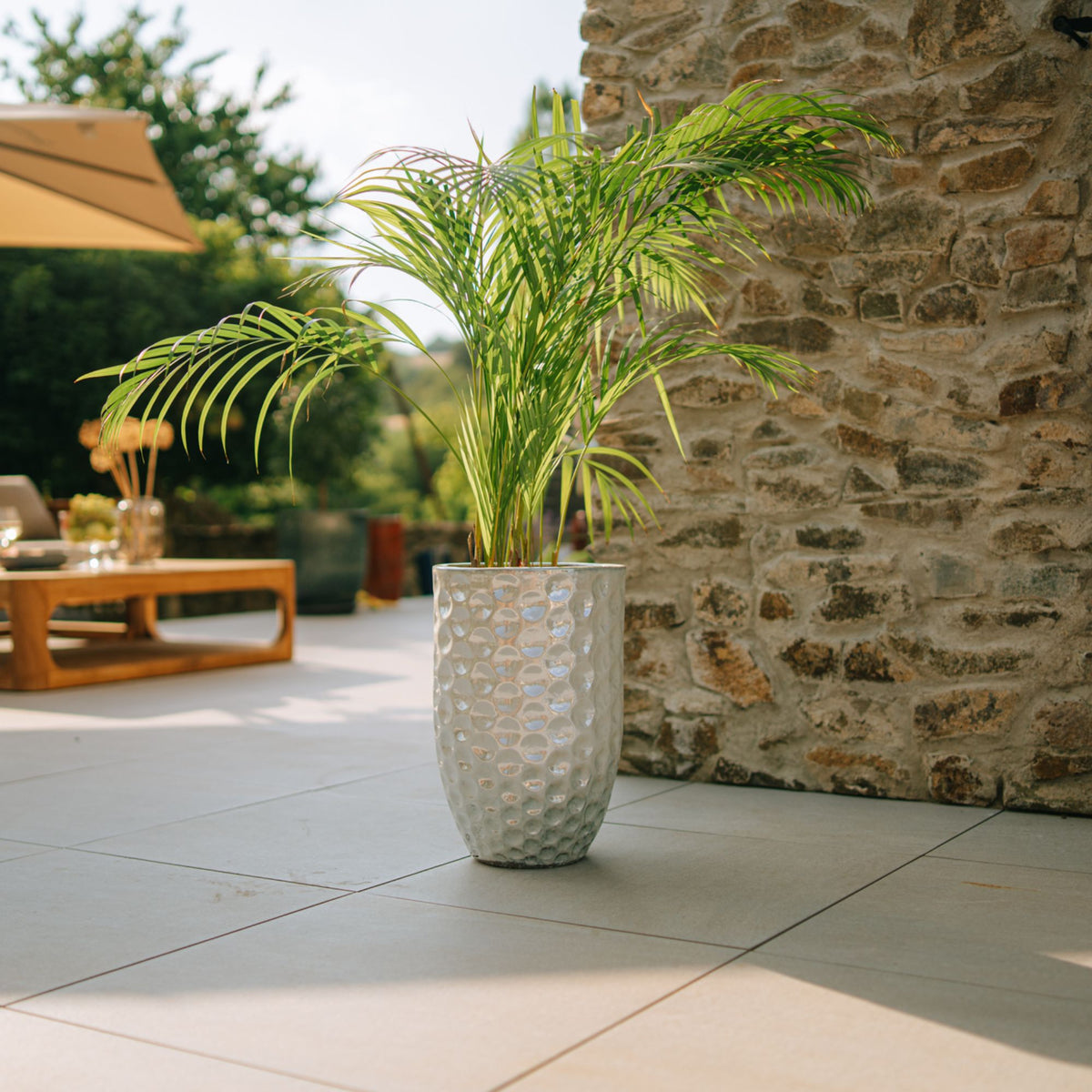 Macetero Merovee con forma de ánfora 30x45 cm perla de cerámica esmaltada, con palmera en terraza