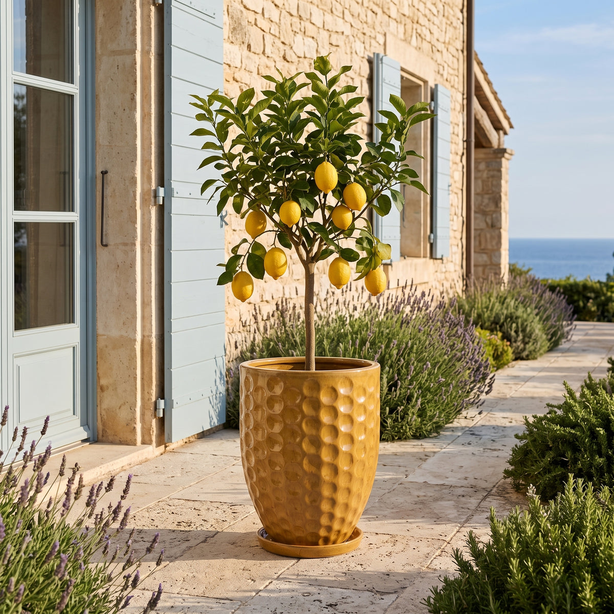 Merovee planter 42 × 55 cm Amber Honey in glazed ceramic, lemon tree in front of a house