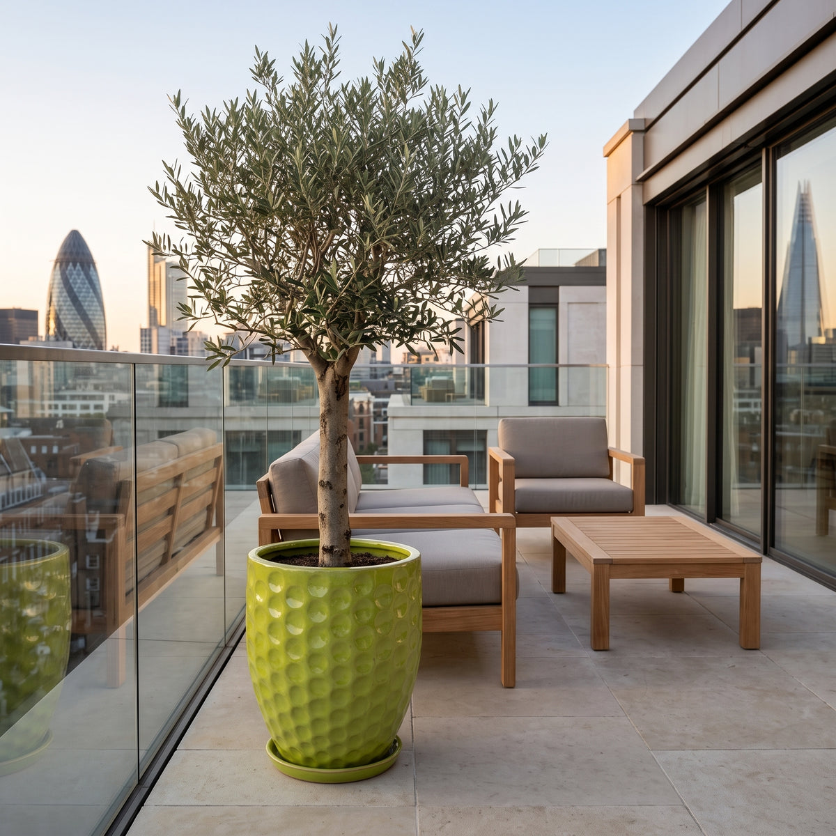 Merovee planter 42 × 55 cm Olive Green in glazed ceramic, olive tree on an urban balcony