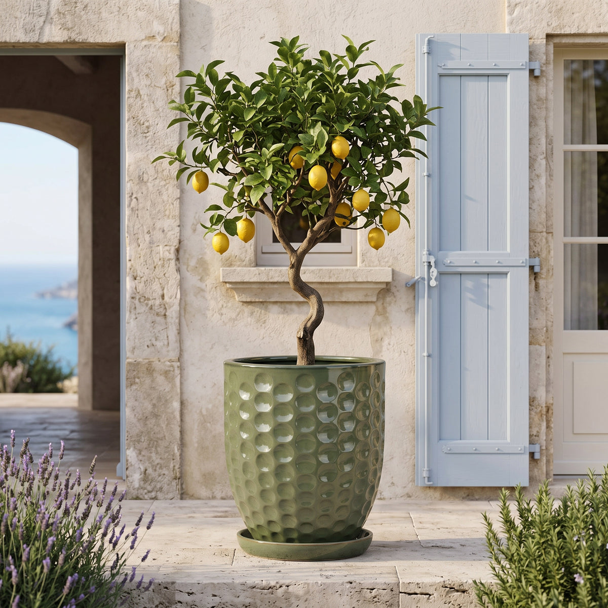 Merovee planter 55x65 cm Jade Pearl glazed ceramic, in front of house with lemon tree