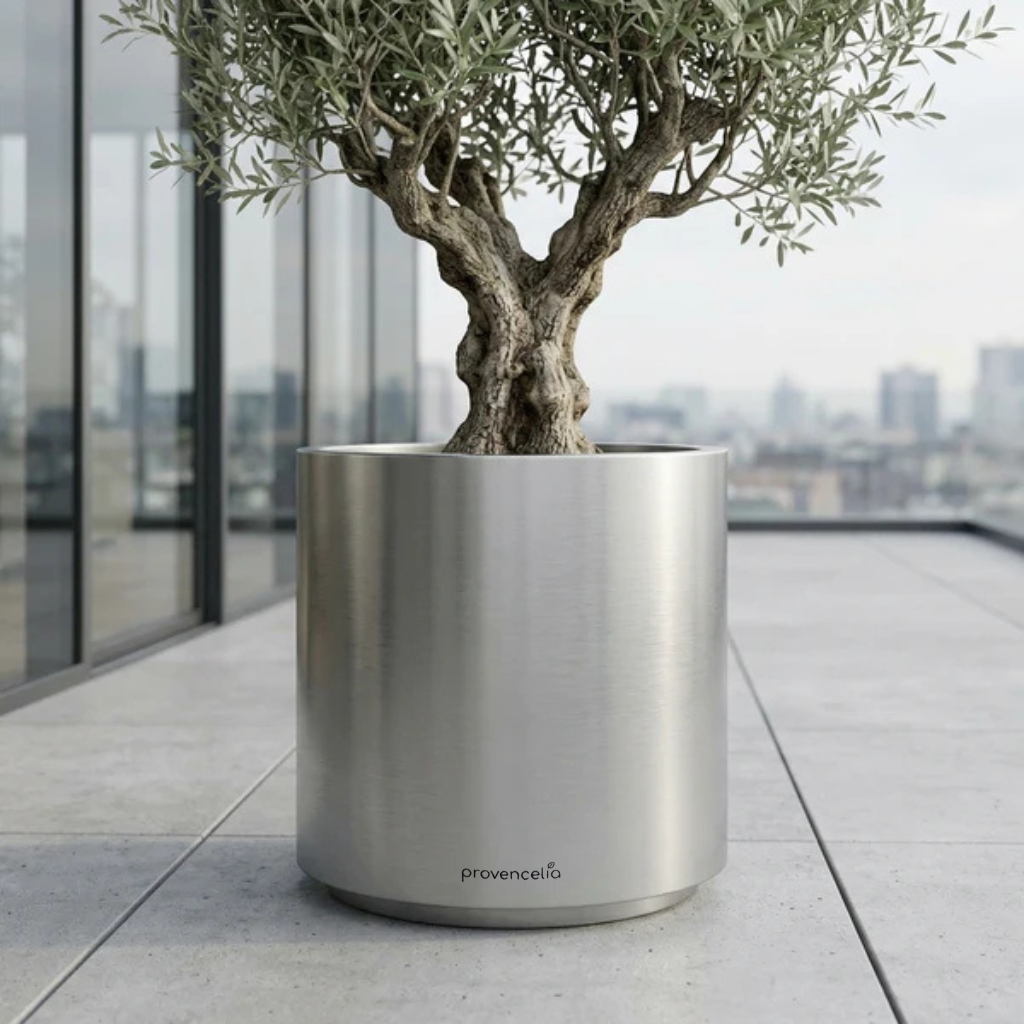 Pot Métropole cylindrique 60x70 cm inox brossé en acier galvanisé, avec un olivier sur une terrasse