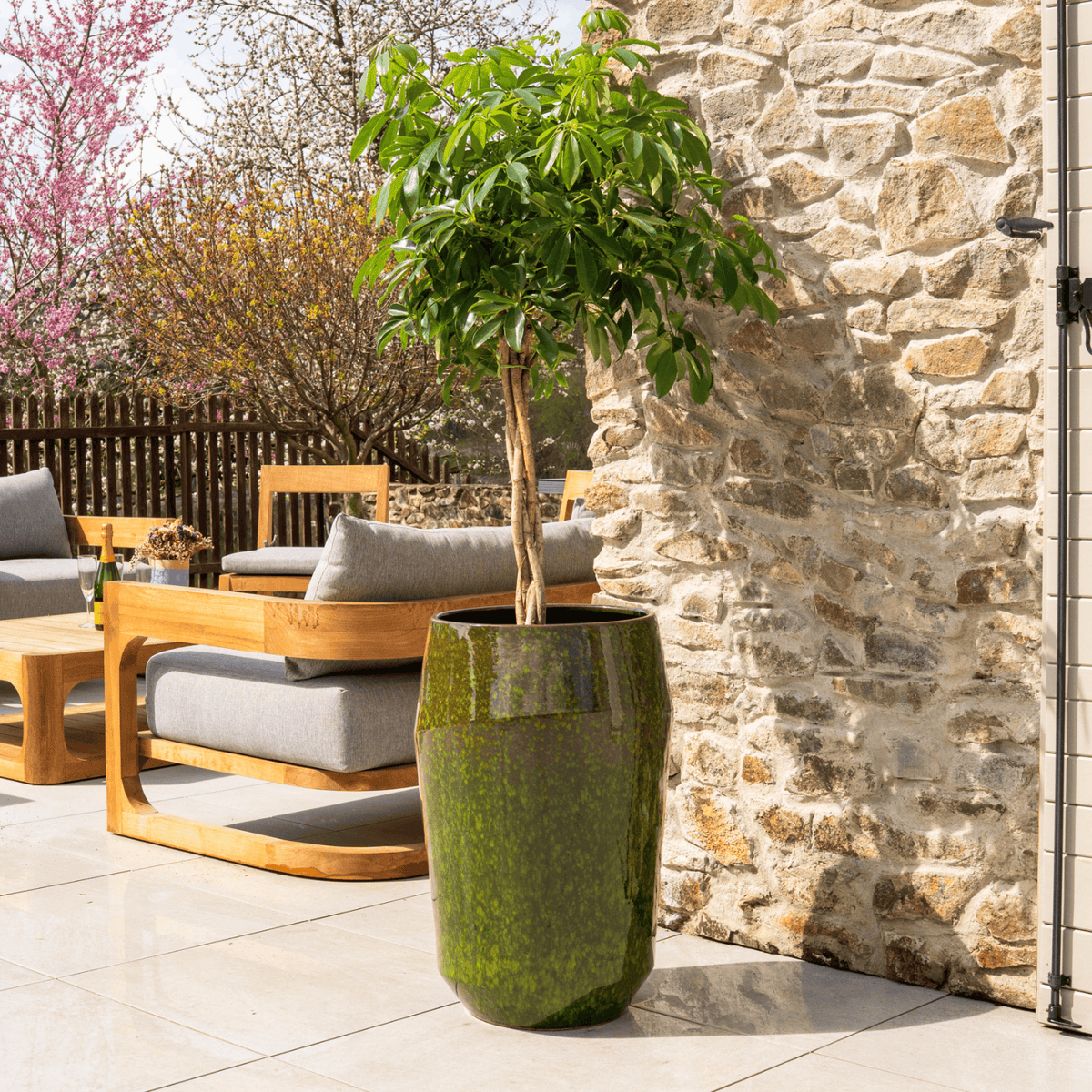 Decorative Monaco planter 44 × 67 cm Green, with a tree on a terrace
