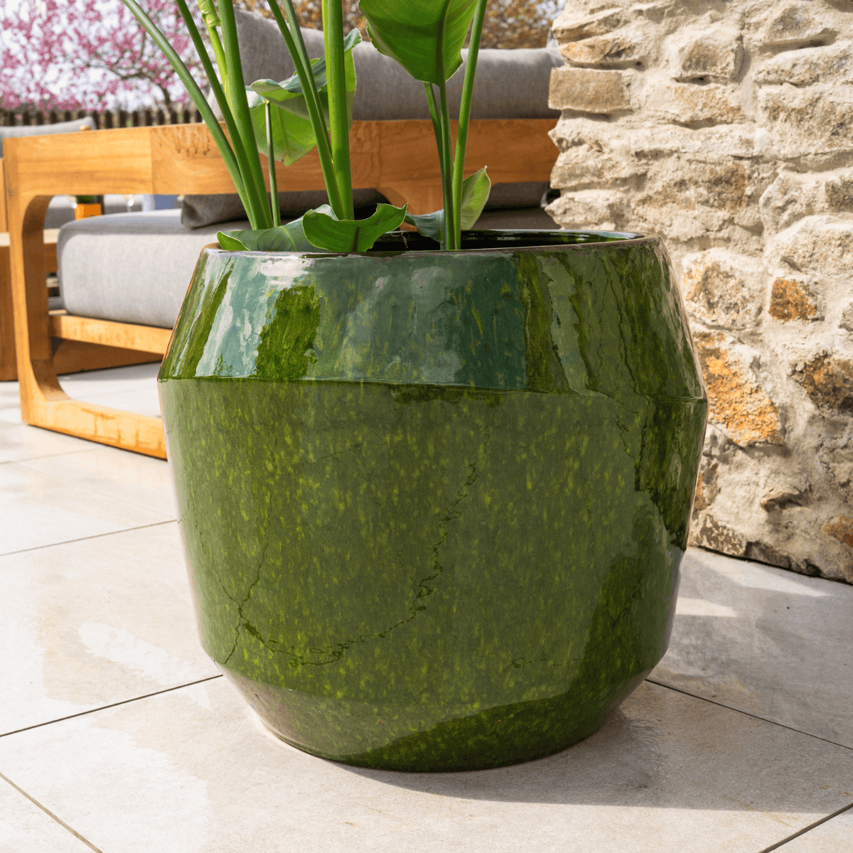 Pot Monaco décoratif 51x44 cm vert, détail du pot avec plante