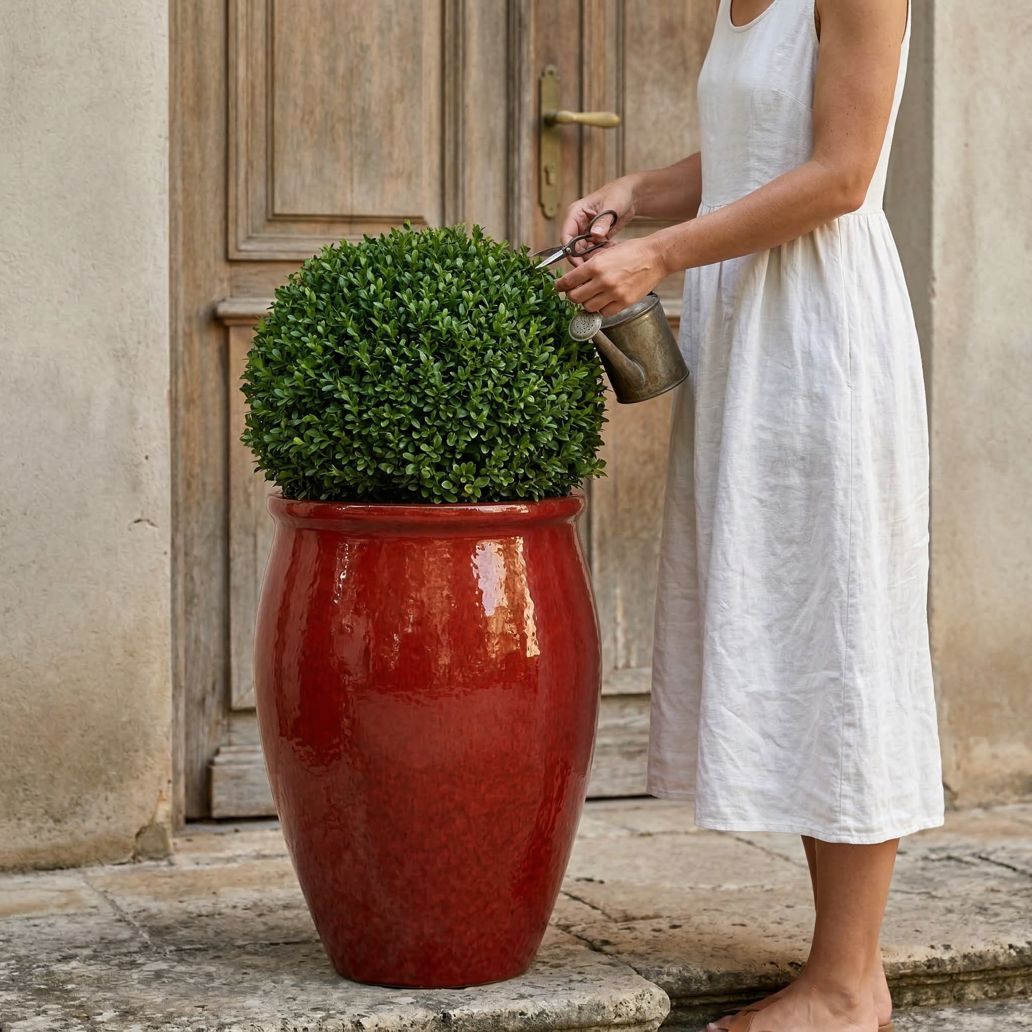 Detailní pohled na keramický květináč BACCHUS - Tropická červená se zastřiženým buxusem na kamenné dlažbě, u kterého žena v bílých šatech pečuje o rostlinu před starými dřevěnými dveřmi.