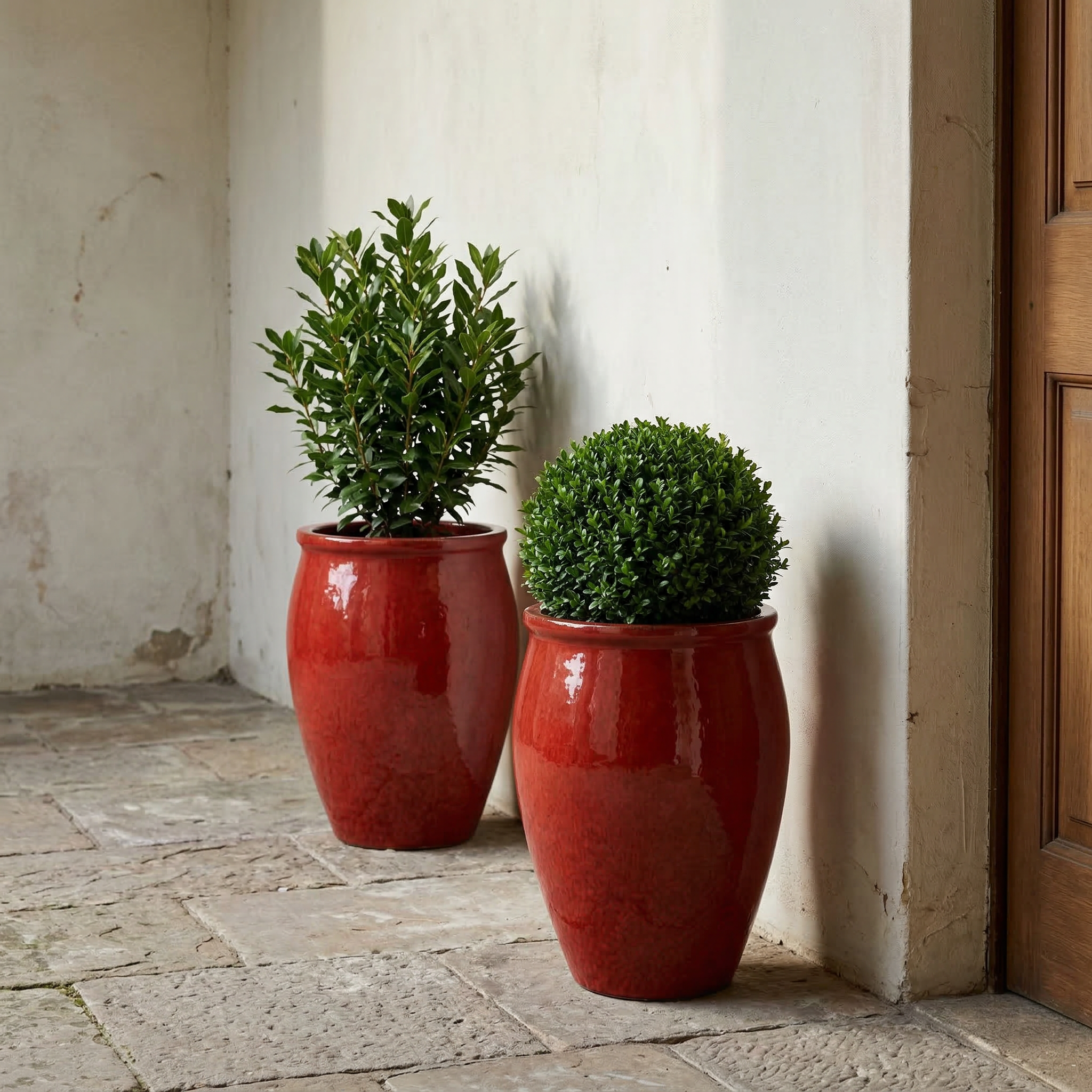 Detailní pohled na keramický květináč BACCHUS - Tropická červená se zastřiženým buxusem na kamenné dlažbě, u kterého žena v bílých šatech pečuje o rostlinu před starými dřevěnými dveřmi.