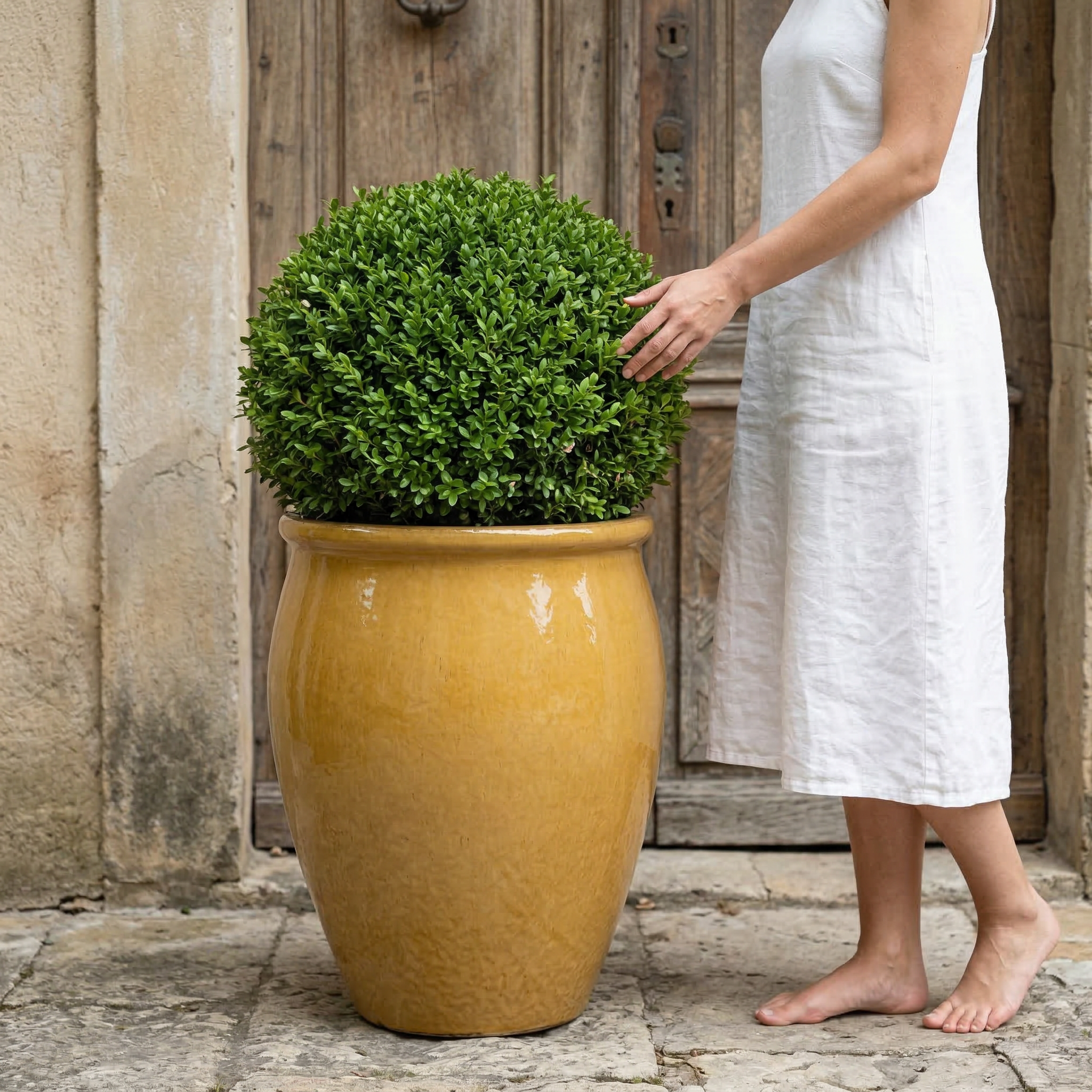 Velký keramický květináč BACCHUS - Pouštní žlutá s kulatým buxusem před starými dřevěnými dveřmi, vedle kterého stojí žena v bílých letních šatech.