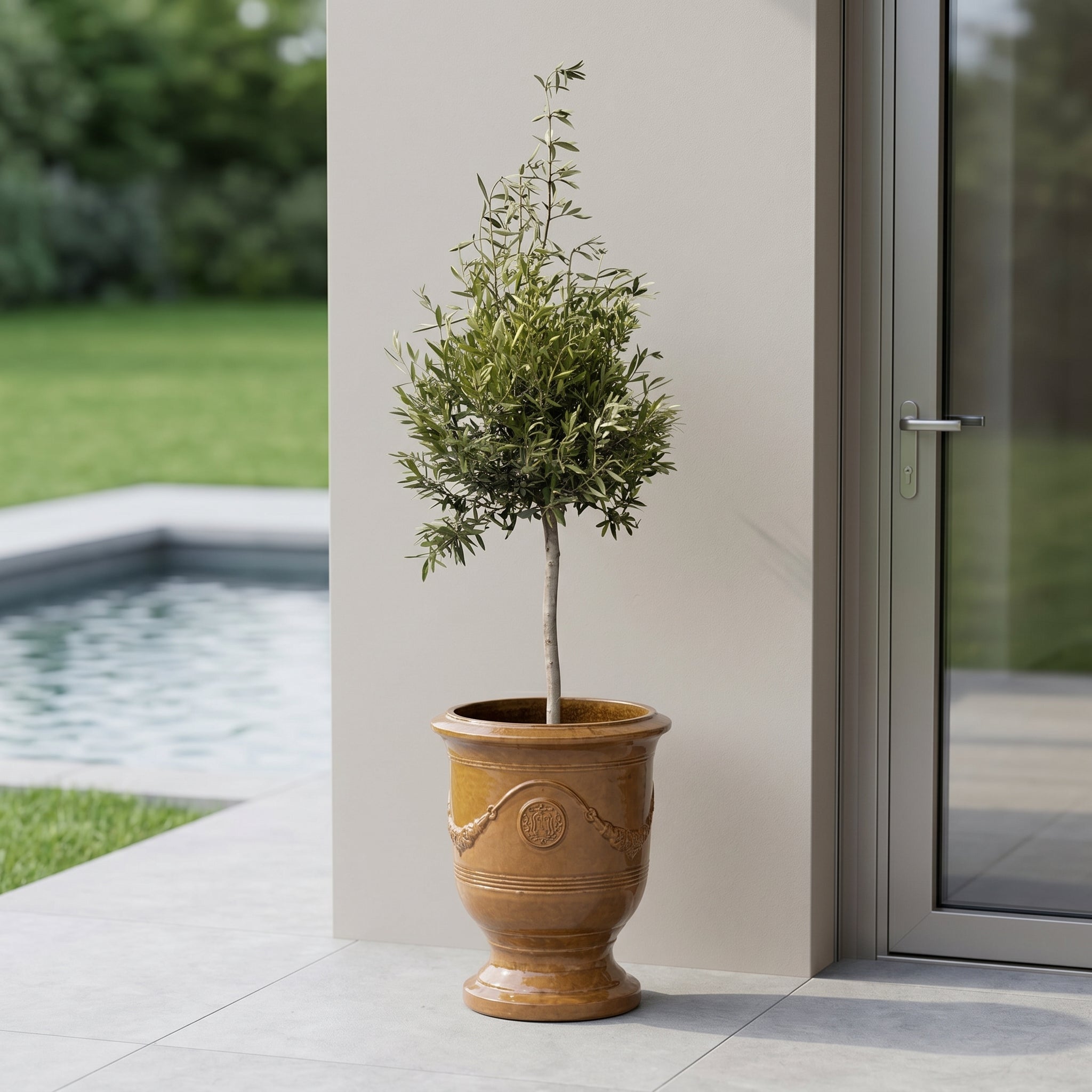 Olivovník se štíhlým kmenem v pouštně žlutém keramickém květináči RICHELIEU 46×56 cm na detailním záběru moderní terasy s bazénem.