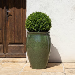 BACCHUS 36x52cm V2 vert tropical