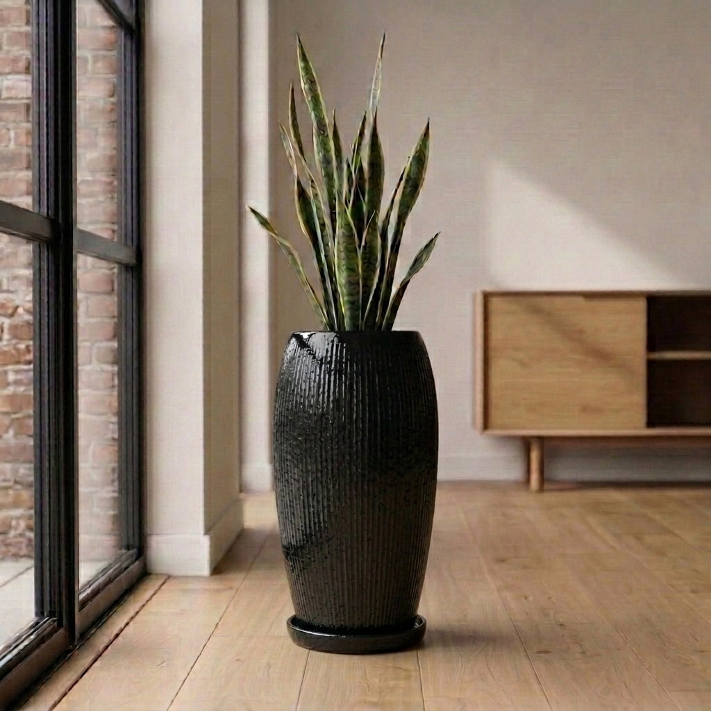 Black ceramic planter saucer – frost-resistant
