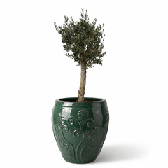 Lot olivier + pot GAIA 75x78cm jade, fait main en terre cuite émaillée