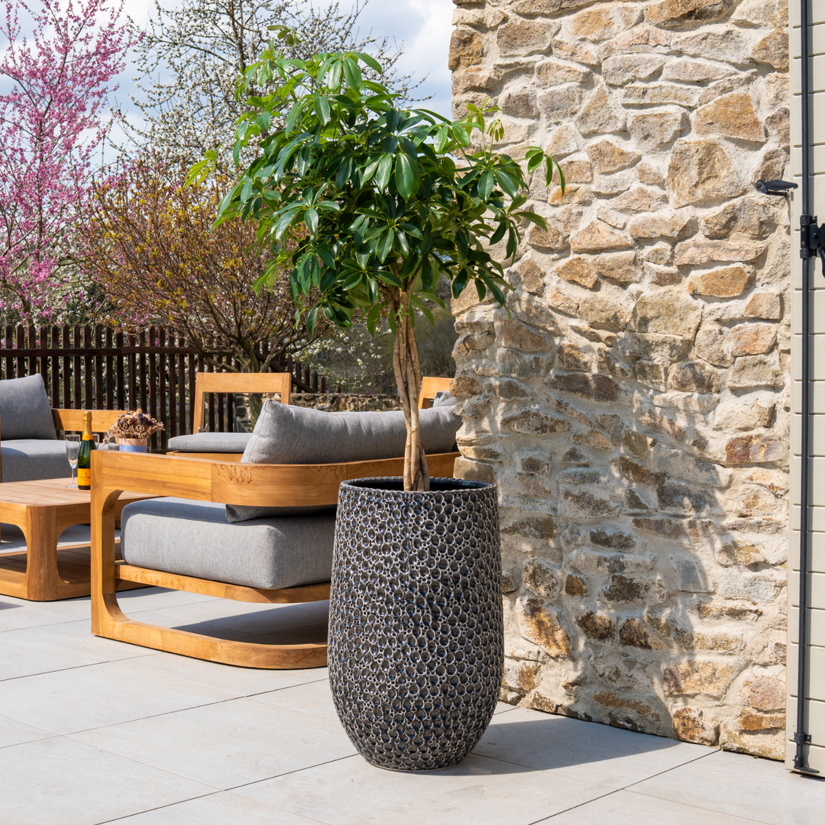 Pot Paris décoratif 39x63 cm noir en terre cuite émaillée, avec arbuste sur terrasse