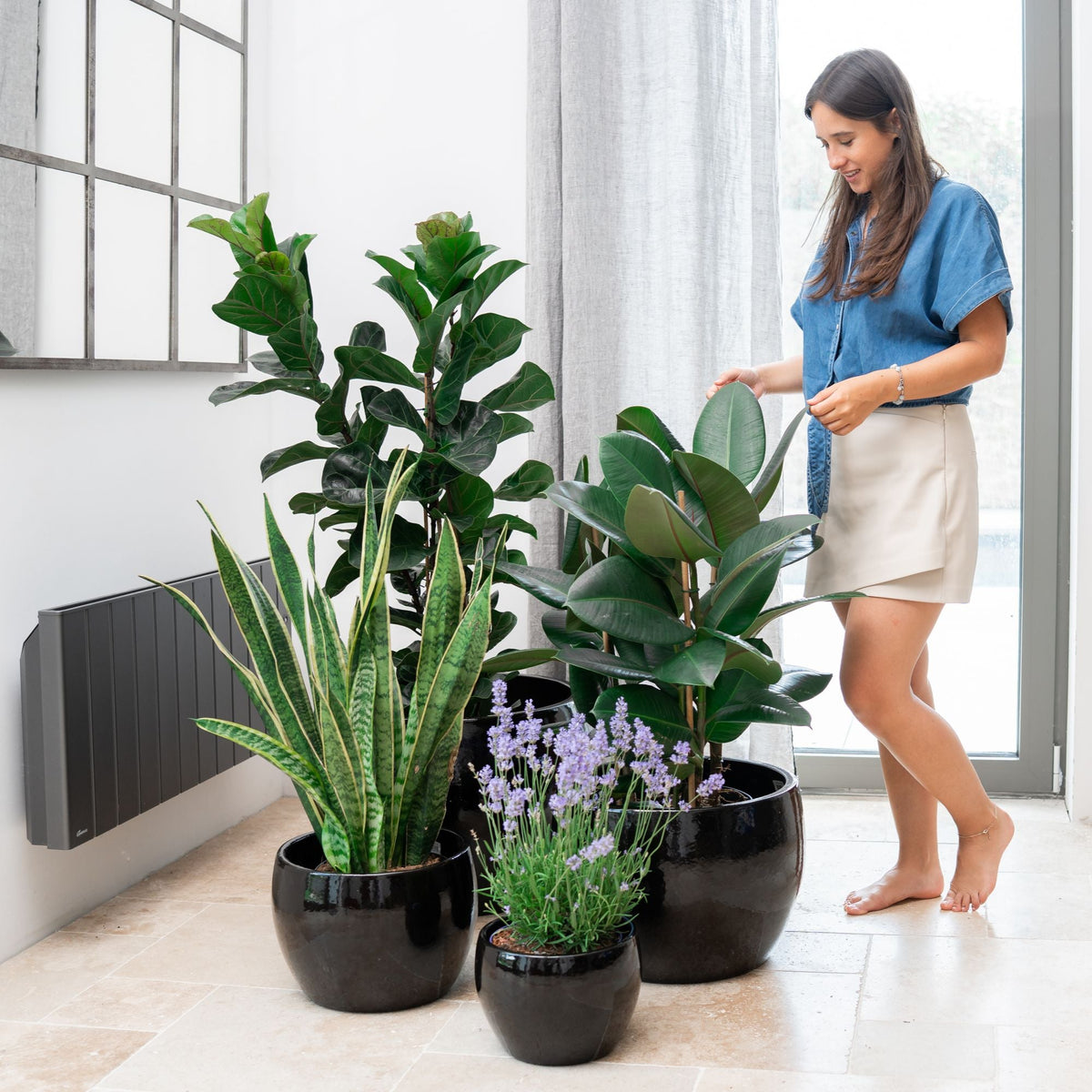 Planter ROMULUS 55x38cm black