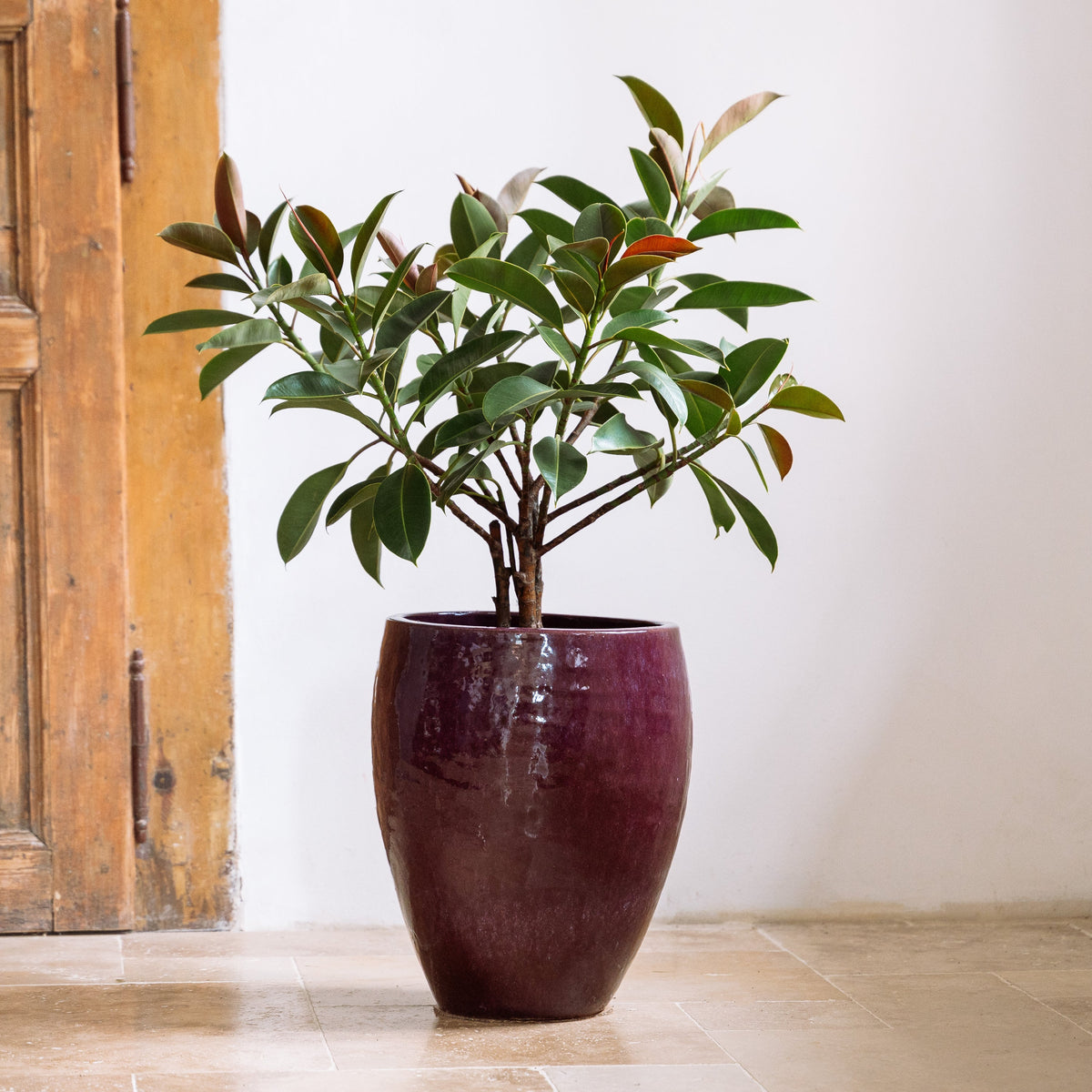 Macetero Poseidon2 redondo 46x55 cm violeta claro de cerámica esmaltada, con planta verde en interior