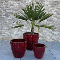 Pot ATTILA 38x37cm rouge impérial