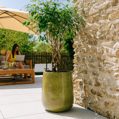 Vaso DIANE 42x49cm verde laccato