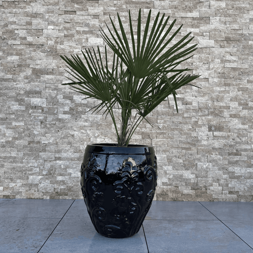 Pot GAIA 53x57cm noir Provencelia