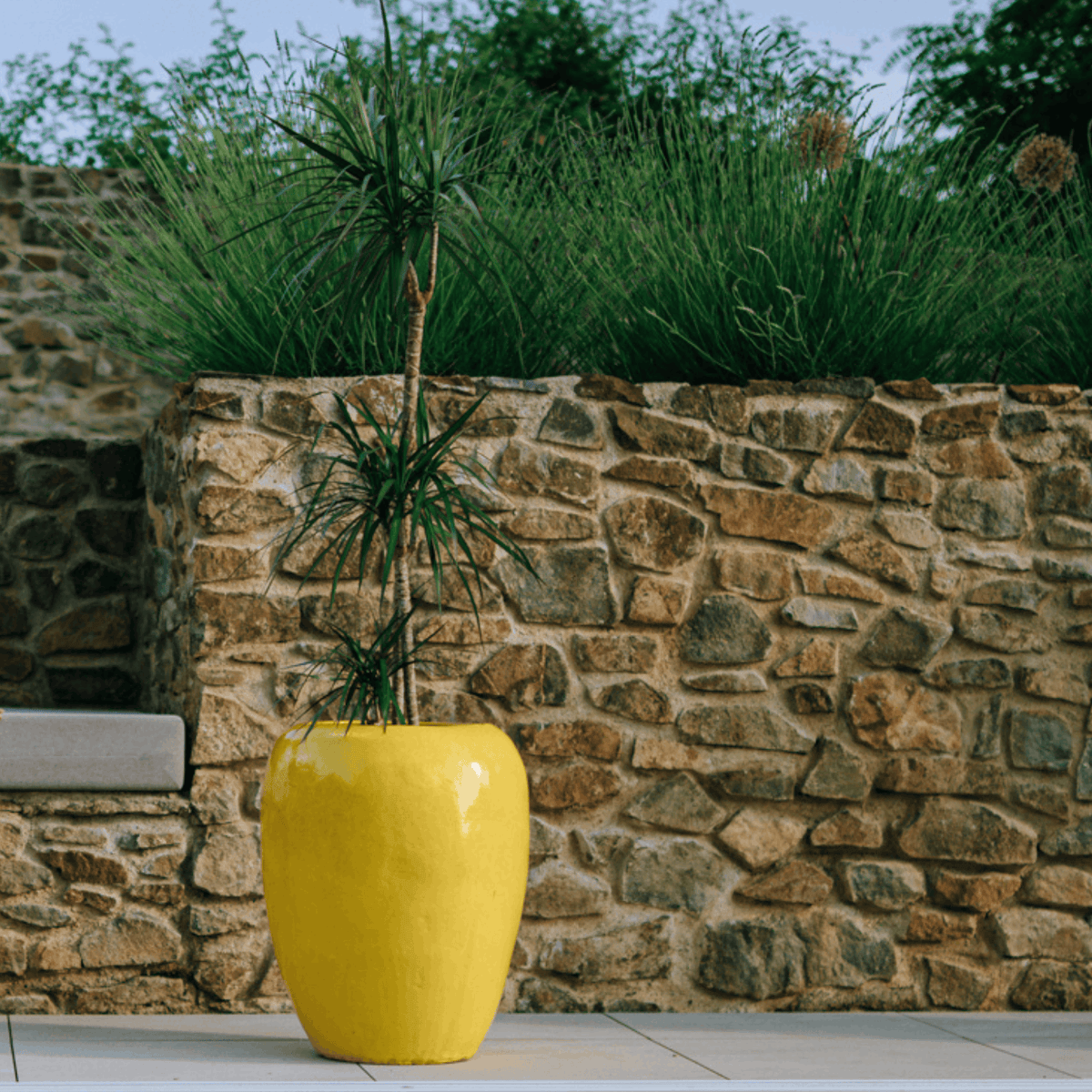 Pot GALILEE décoratif 50x60 cm jaune en terre cuite émaillée, avec plante devant un muret